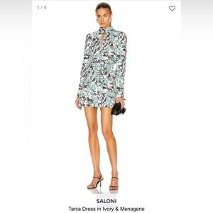 SALONI Tania Ivory and Green Long Sleeve Dress